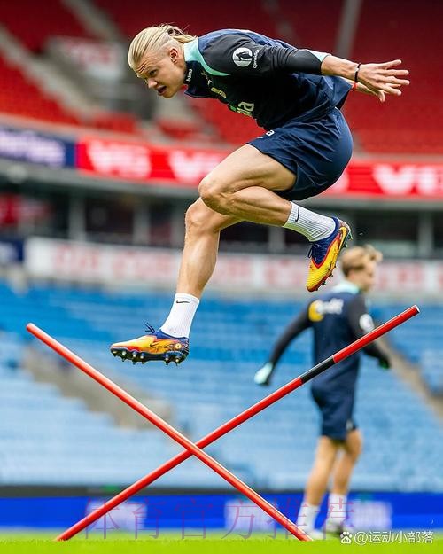 本届世界杯阿根廷哈兰德战术分析全面分析 本届世界杯阿根廷哈兰德战术分析全面分析