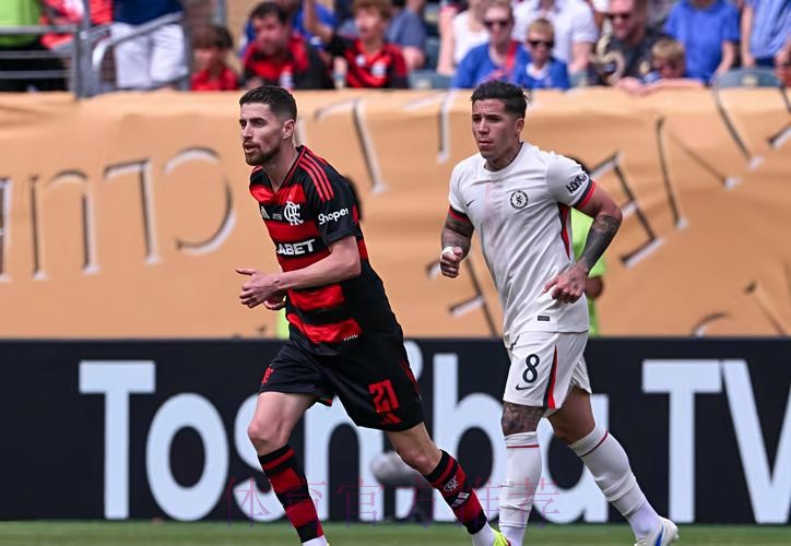 世界杯荷兰凯恩焦点对决深度解读